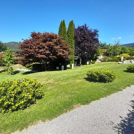 Gite De Grettery Saulxures-sur-Moselotte Экстерьер фото