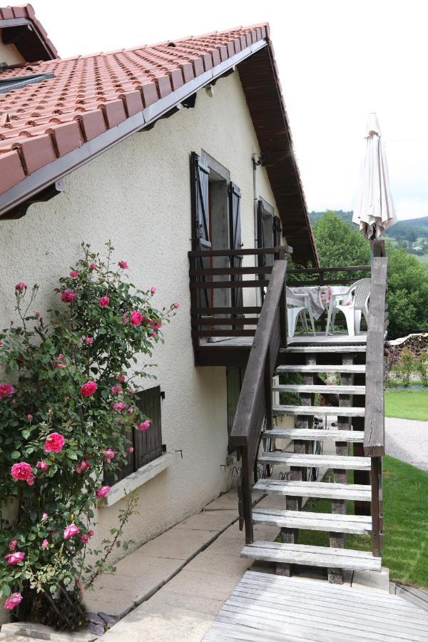 Gite De Grettery Saulxures-sur-Moselotte Экстерьер фото